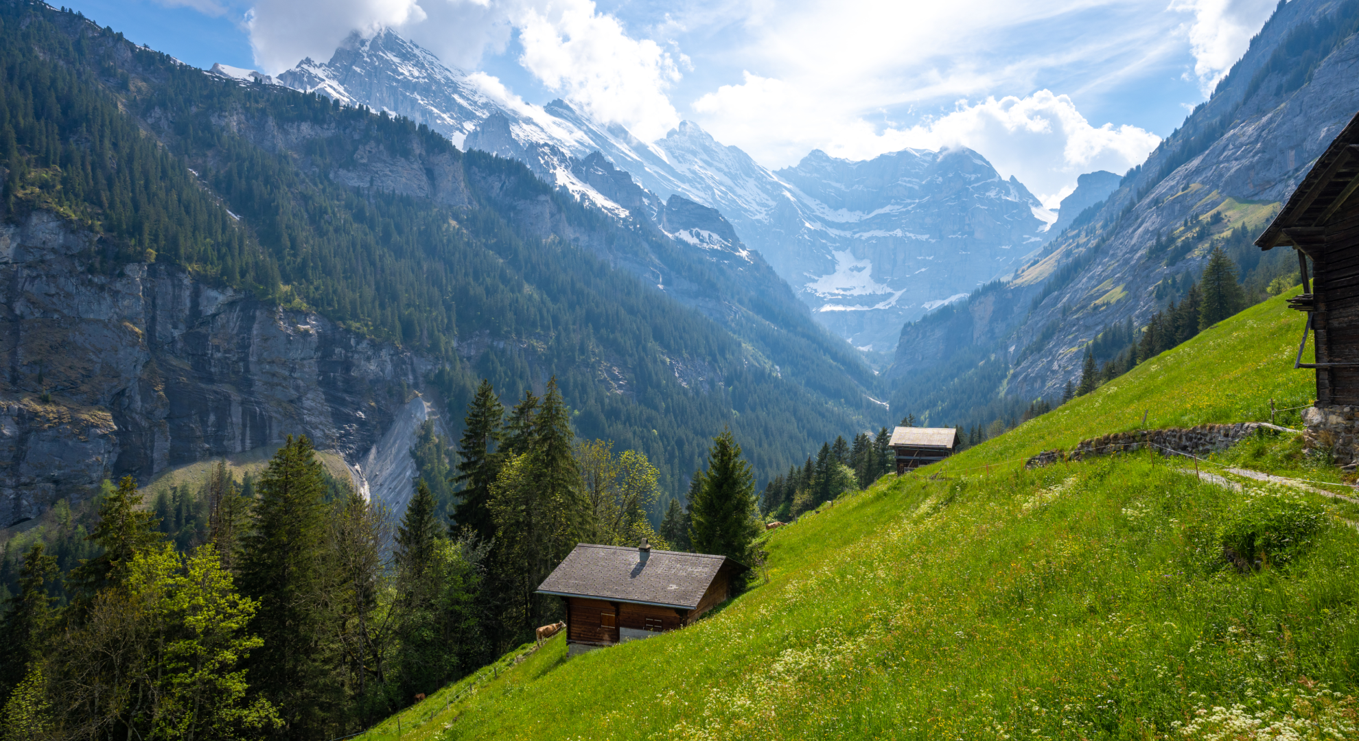 완전 자동화 커피의 미래